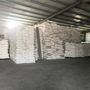 廠(chǎng)房實(shí)景